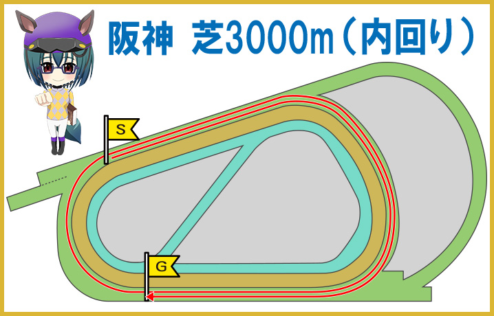 阪神芝3000m(内回り)の特徴