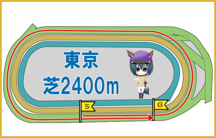 東京芝2400mの特徴